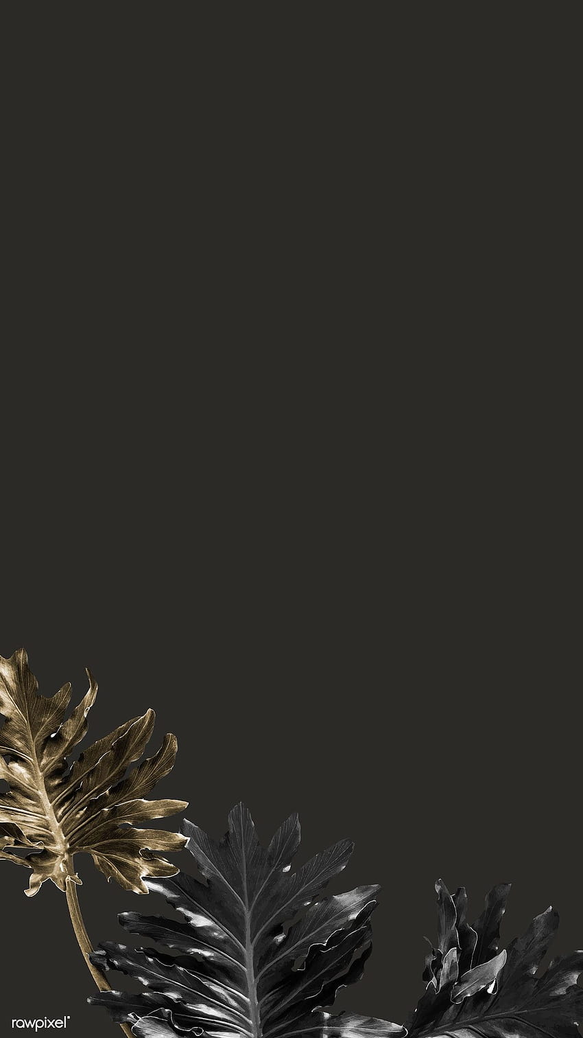 회색 배경에 Philodendron xanadu 잎의 프리미엄 벡터 HD 전화 배경 화면