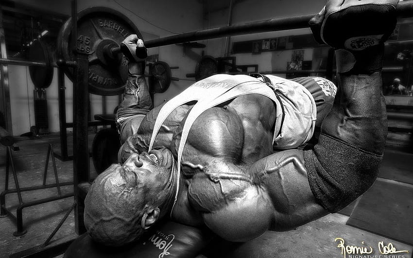 : 1920x1200 px, 72, body, bodybuilding, building, fitness, lifting, muscle, muscles, weight 1920x1200, bench press HD wallpaper