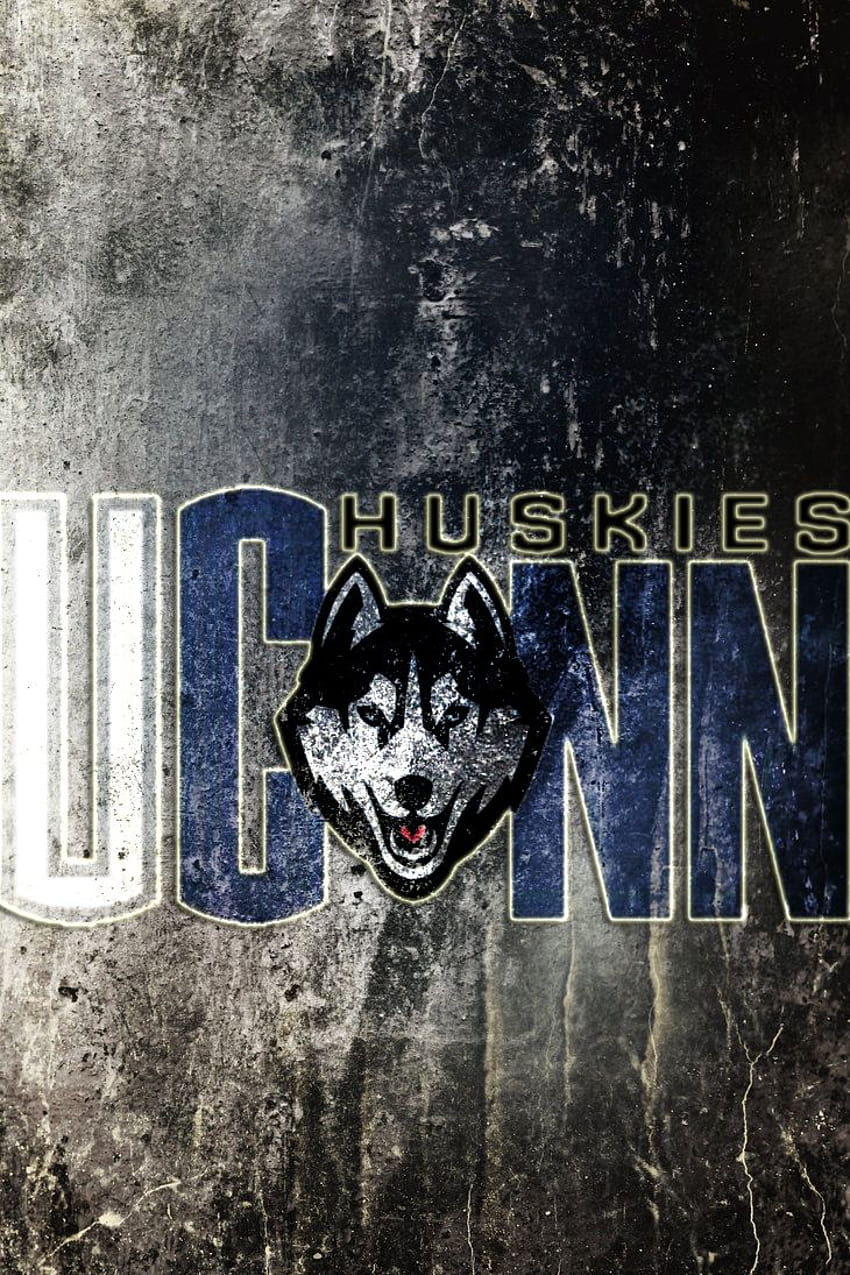 4 UConn Huskies HD phone wallpaper