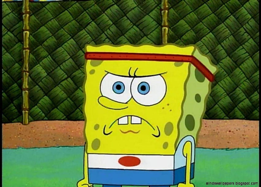 Angry Spongebob Face, mad face HD wallpaper