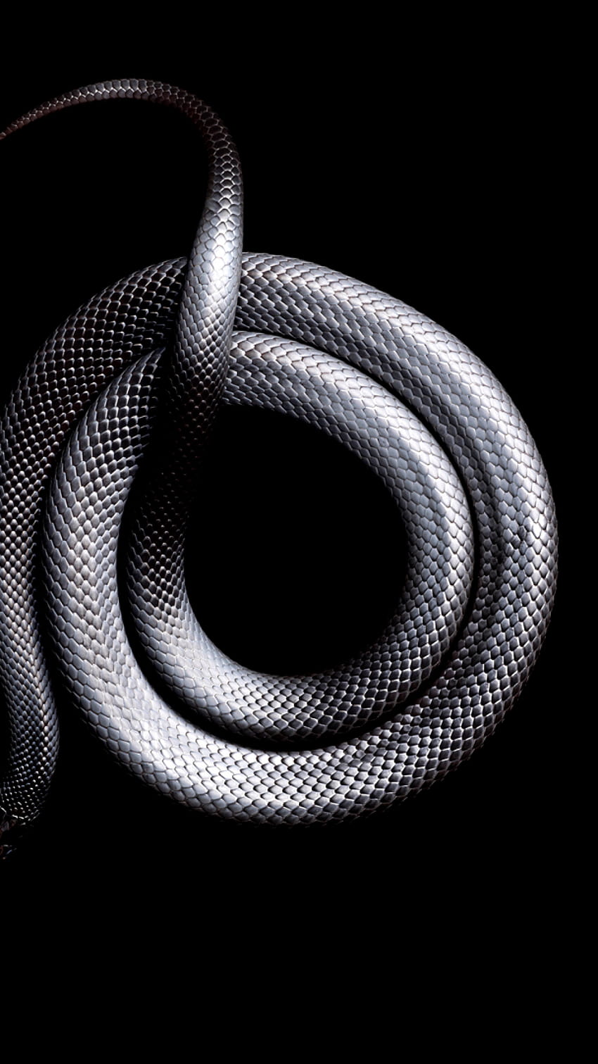 for iphone 7,green,organism,technology, graphy,animation, snake art iphone HD phone wallpaper