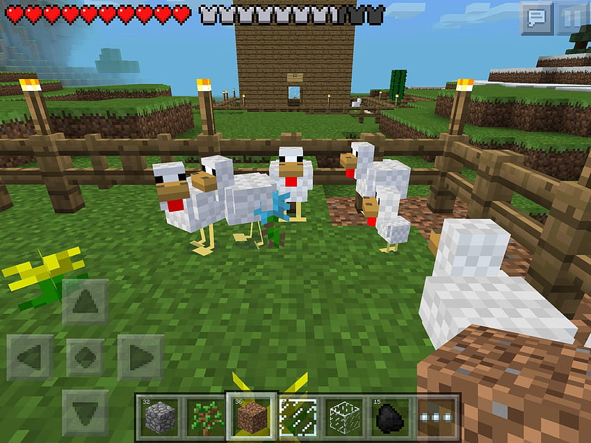 Minecraft Pocket Edition Chickens hang out at my chicken farm, minecraft chicken HD wallpaper