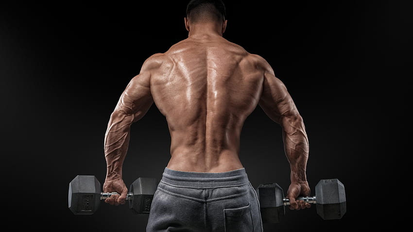Bodybuilding, exercise, motivation, Training, back, bench HD wallpaper