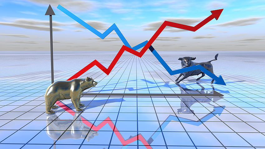 Investor Bullish vs. Bearish: Anda yang Mana?, bull vs bear Wallpaper HD