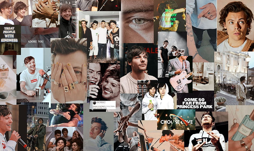 Larry computer backgrounds, larry stylinson HD wallpaper | Pxfuel