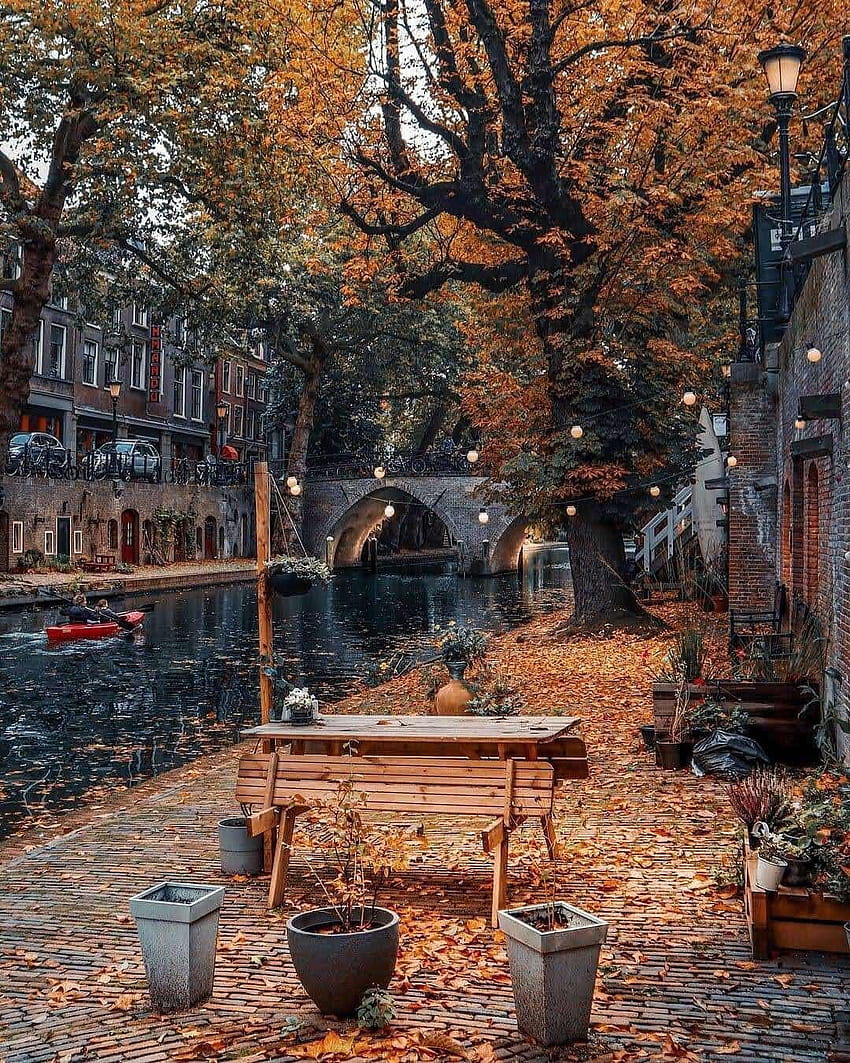 Hojas de otoño en Utrecht, hojas de otoño de la ciudad fondo de pantalla del teléfono