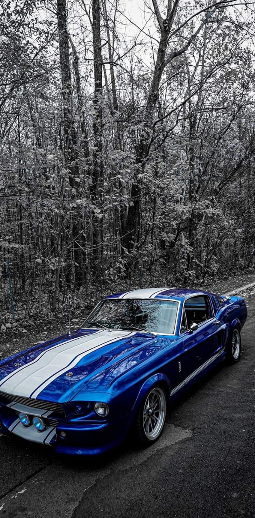 Shelby gt500 1967 by germinatorritor, 1967 shelby HD phone wallpaper