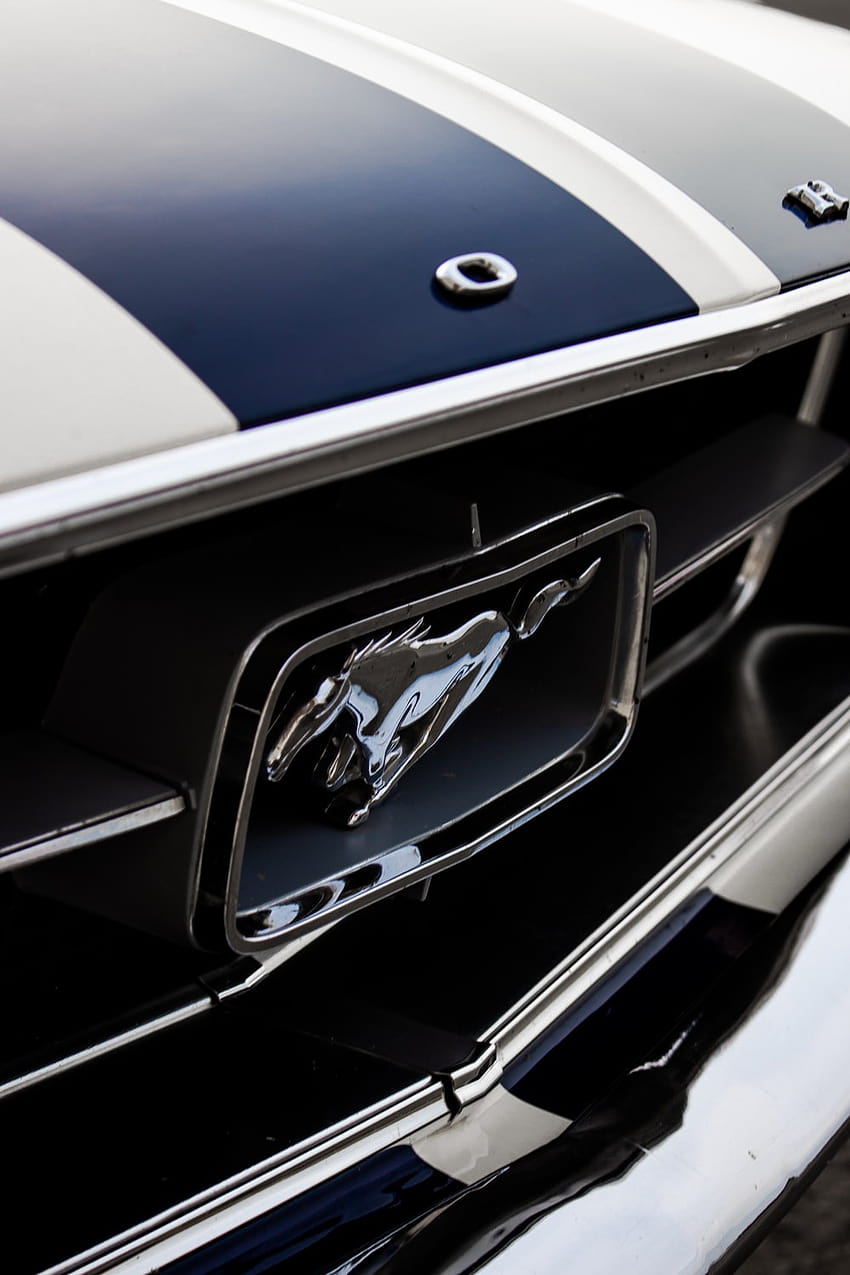 niebiesko-białe drzwi samochodu – Samochód Tapeta na telefon HD