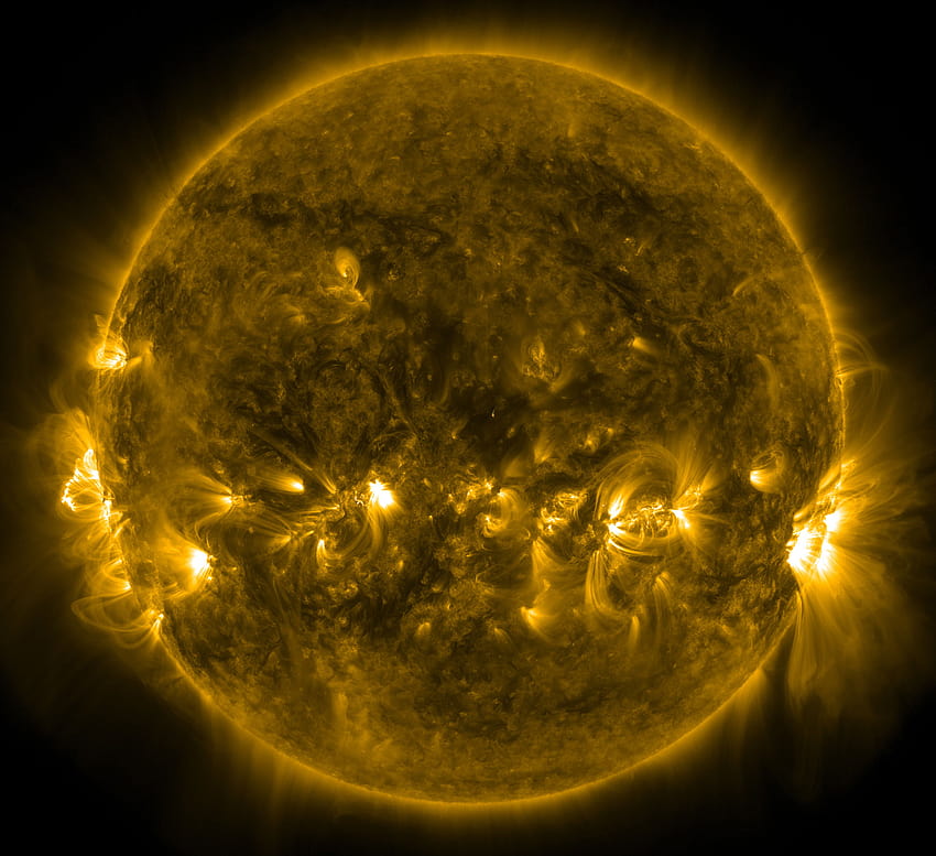 物理学者は、太陽のコロナ ループ、 高画質の壁紙