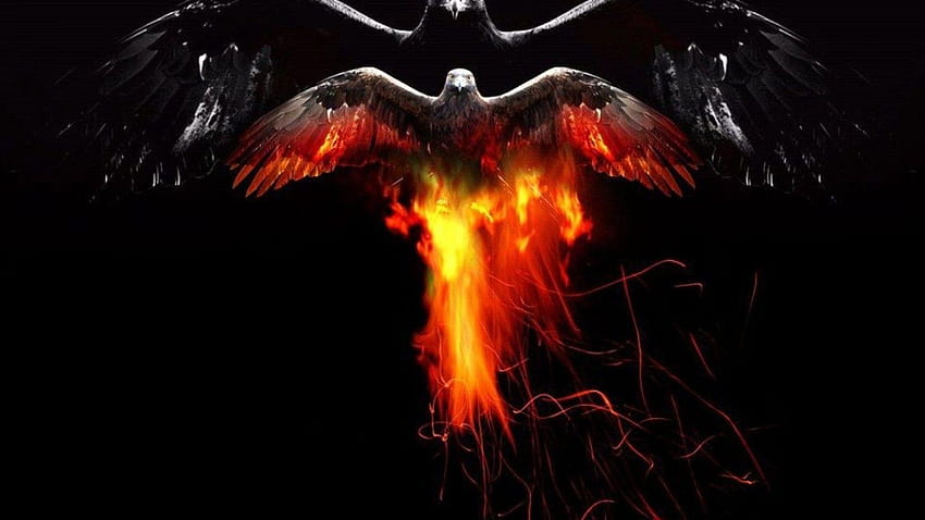 ScreenHeaven: Bird of fire sky eagle and mobile backgrounds, fire eagle HD wallpaper