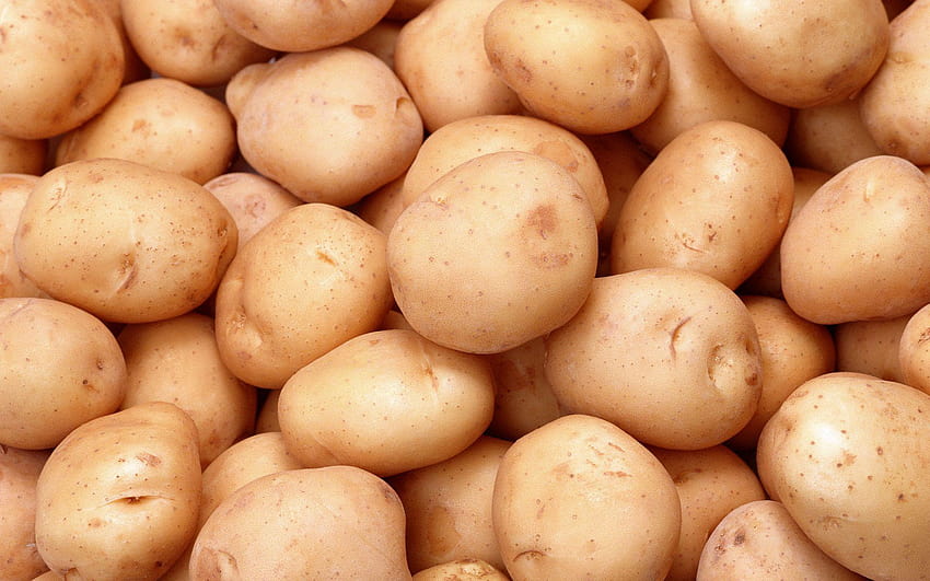 Kartoffel , 48 Kartoffel HD-Hintergrundbild