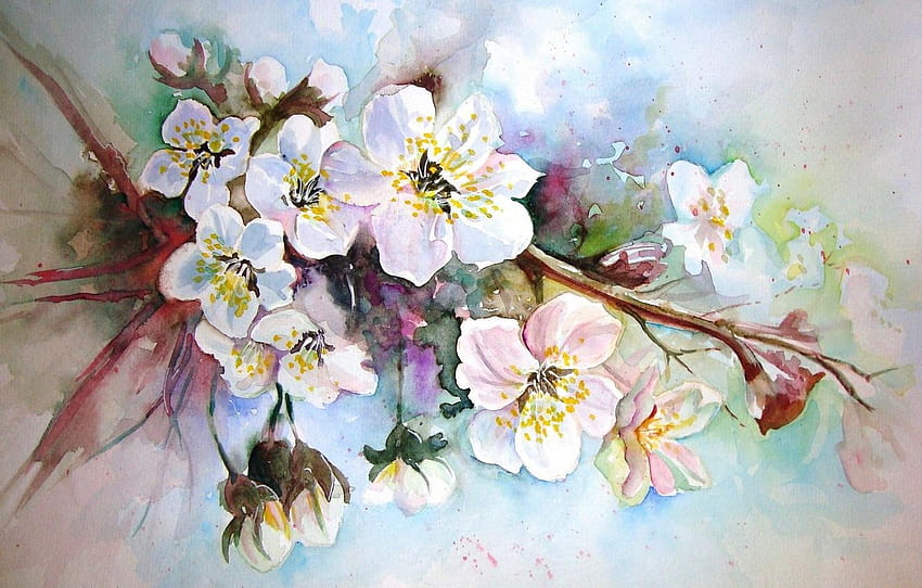 figure, watercolor, painting, Apple blossoms, spring blossom painted HD wallpaper