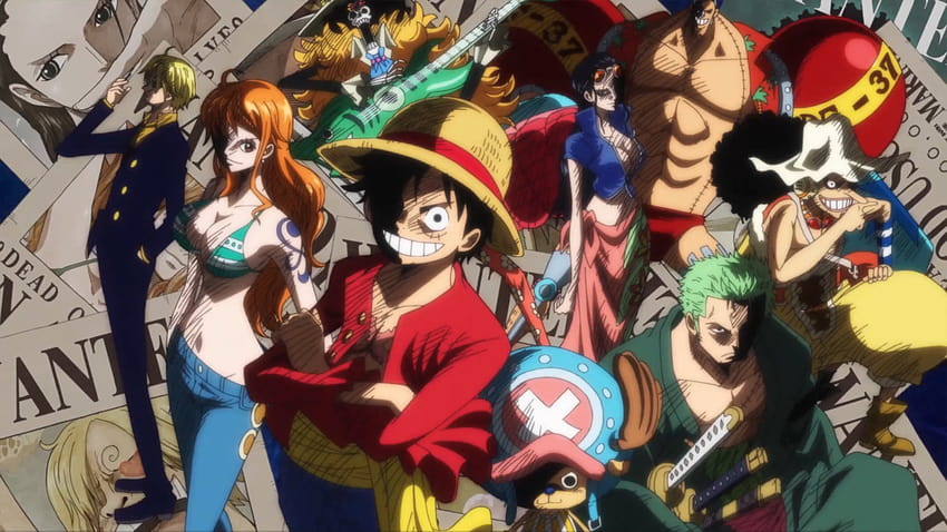 Pirate, seven warlords one piece HD wallpaper | Pxfuel