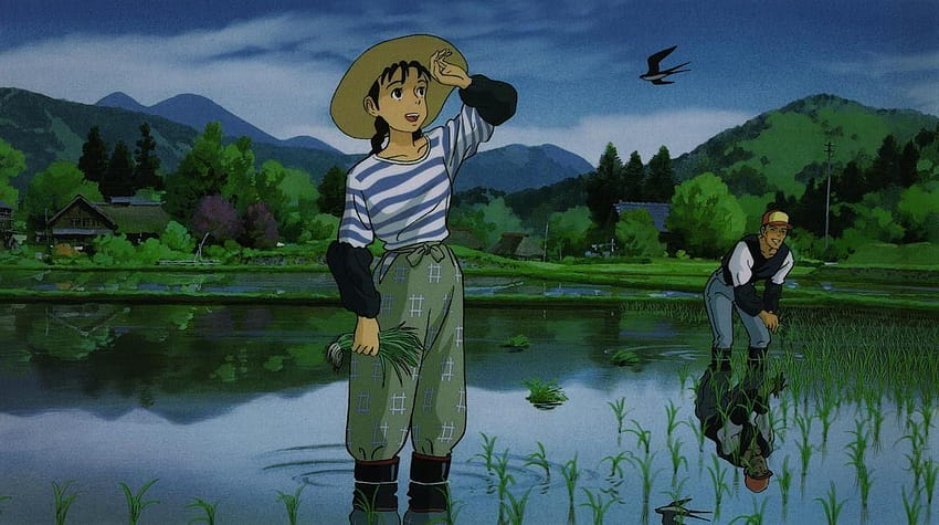 GKIDS Picks Up Studio Ghibli's 'Only Yesterday', isao takahata HD wallpaper