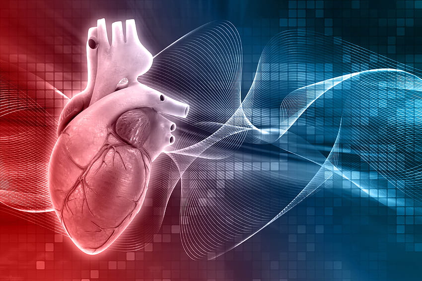 Pasien Jantung Kompleks Mendapat Manfaat dari Perawatan Multidisiplin, jantung medis Wallpaper HD