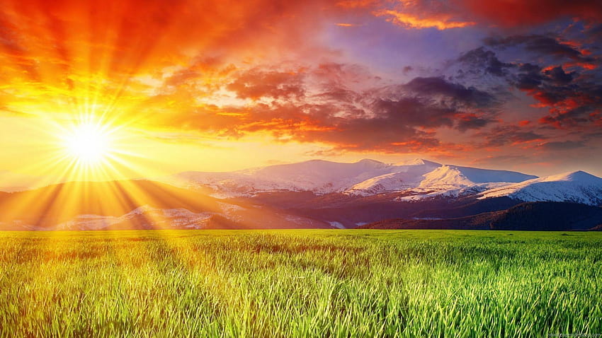Nature : Ciel de soleil brillant Fond d'écran HD