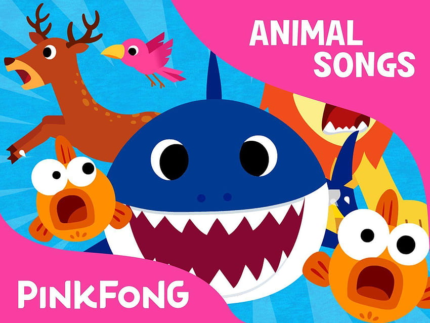 ピンキッツ！ 動物の歌: ピンキッツ、赤ちゃんサメ 高画質の壁紙