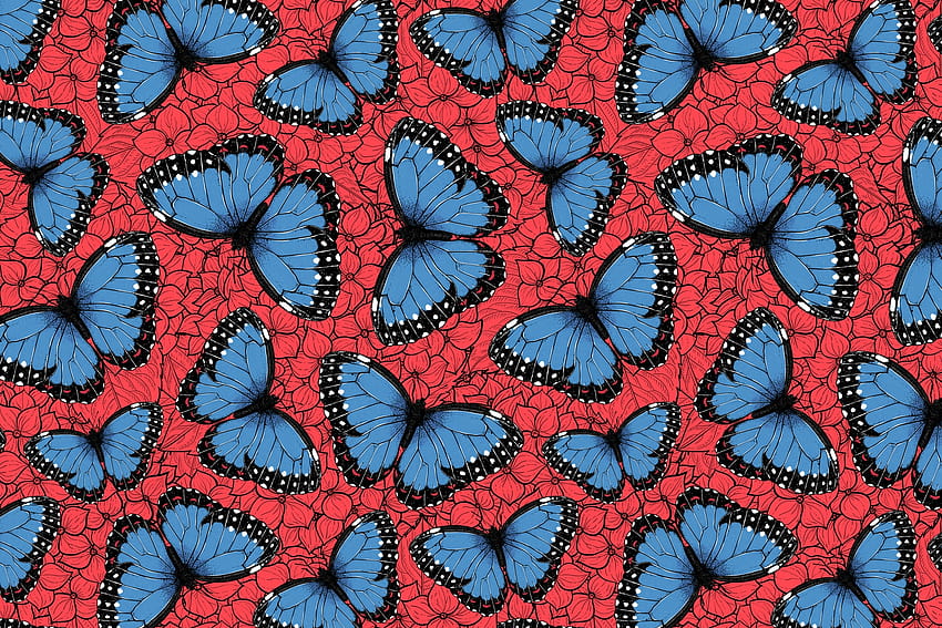 Mavi morfo kelebekler HD duvar kağıdı
