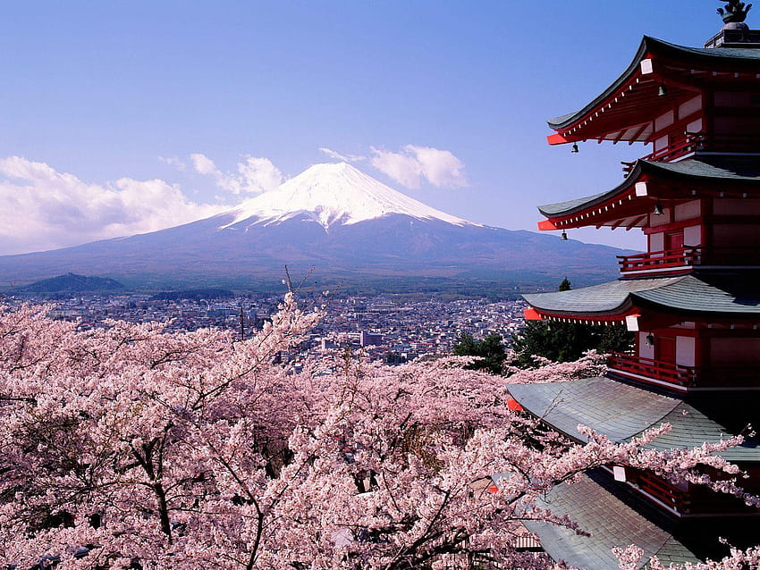 Japan Mount Fuji cherry blossoms Tokyo trees pagodas Japanese, the wonder of fuji HD wallpaper