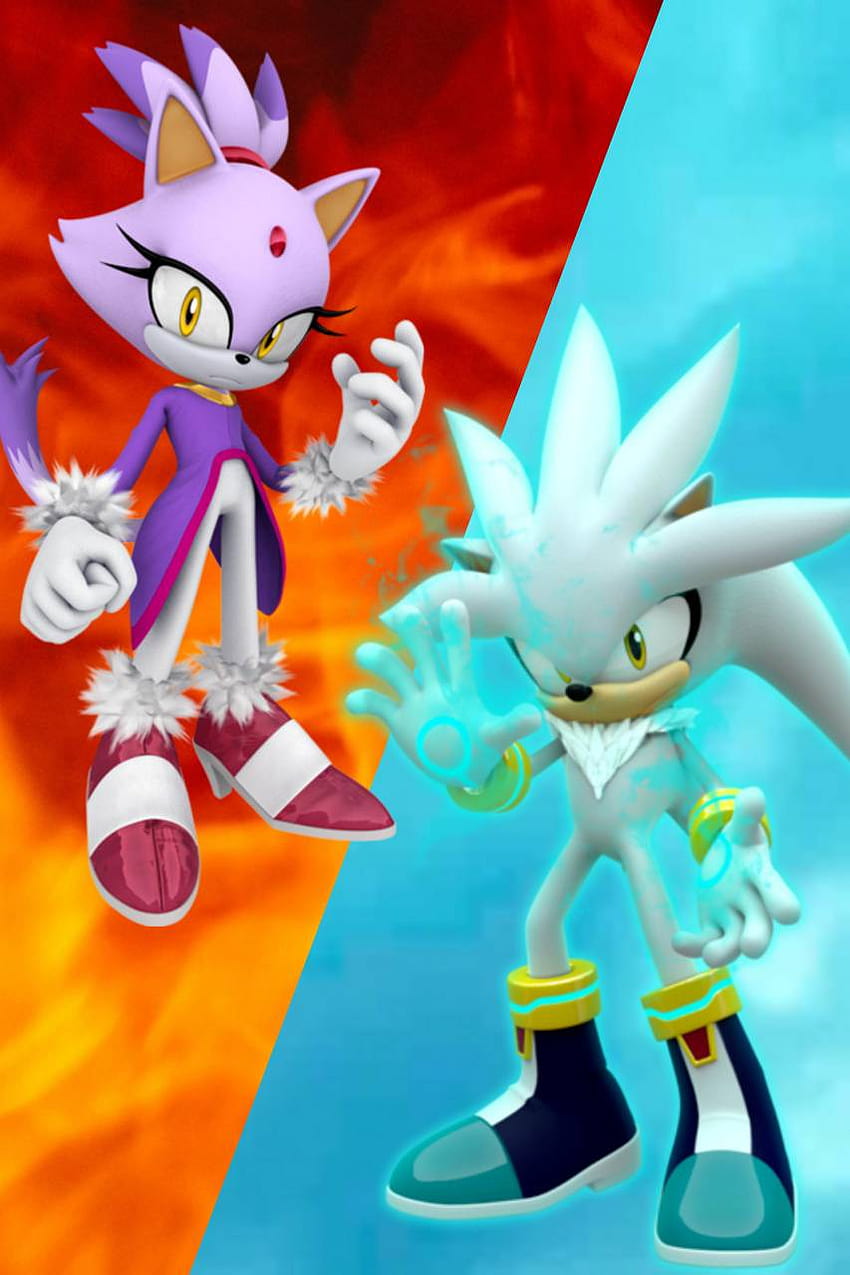 Silver and Blaze by ZachyWacky, silver sonic HD phone wallpaper | Pxfuel