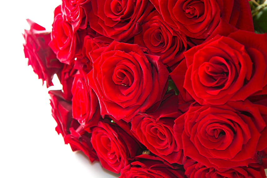 Natura Kwiaty Czerwona miłość Walentynki Rose Roses For, kwiaty 3D na pełnym ekranie Tapeta HD