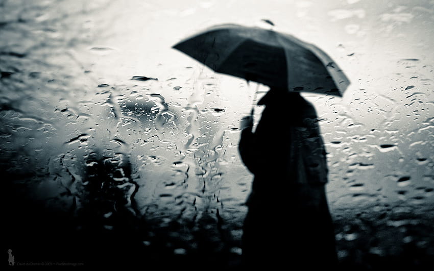 A man standing outside in the rain with an umbrella. Misc, Stuff . for iPad and …, rains HD wallpaper