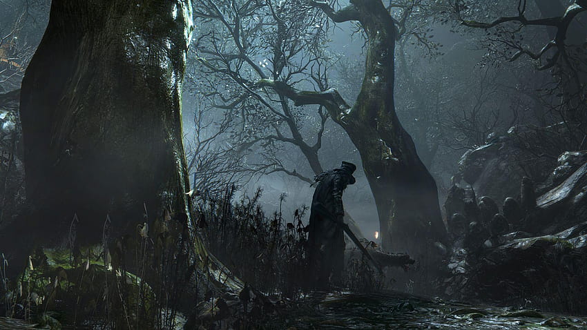 Serious Bloodborne Bug Discovered, Here's How to Avoid It, forbidden forest HD wallpaper