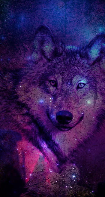 Wolf Fantasy Group, blue wolves HD wallpaper | Pxfuel