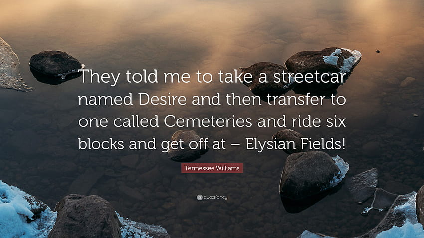 Tennessee Williams Quote: “They told me to take a streetcar named Desire and then transfer to one called Cemeteries and ride six blocks and get off...” HD wallpaper
