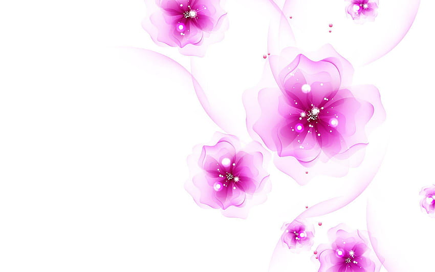 Schönes Q Fuchsia, Fushia-Hintergründe HD-Hintergrundbild
