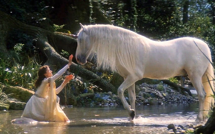 Legends Of The Unicorn, White Horse Girl And Horse Unicorn : 13 HD wallpaper