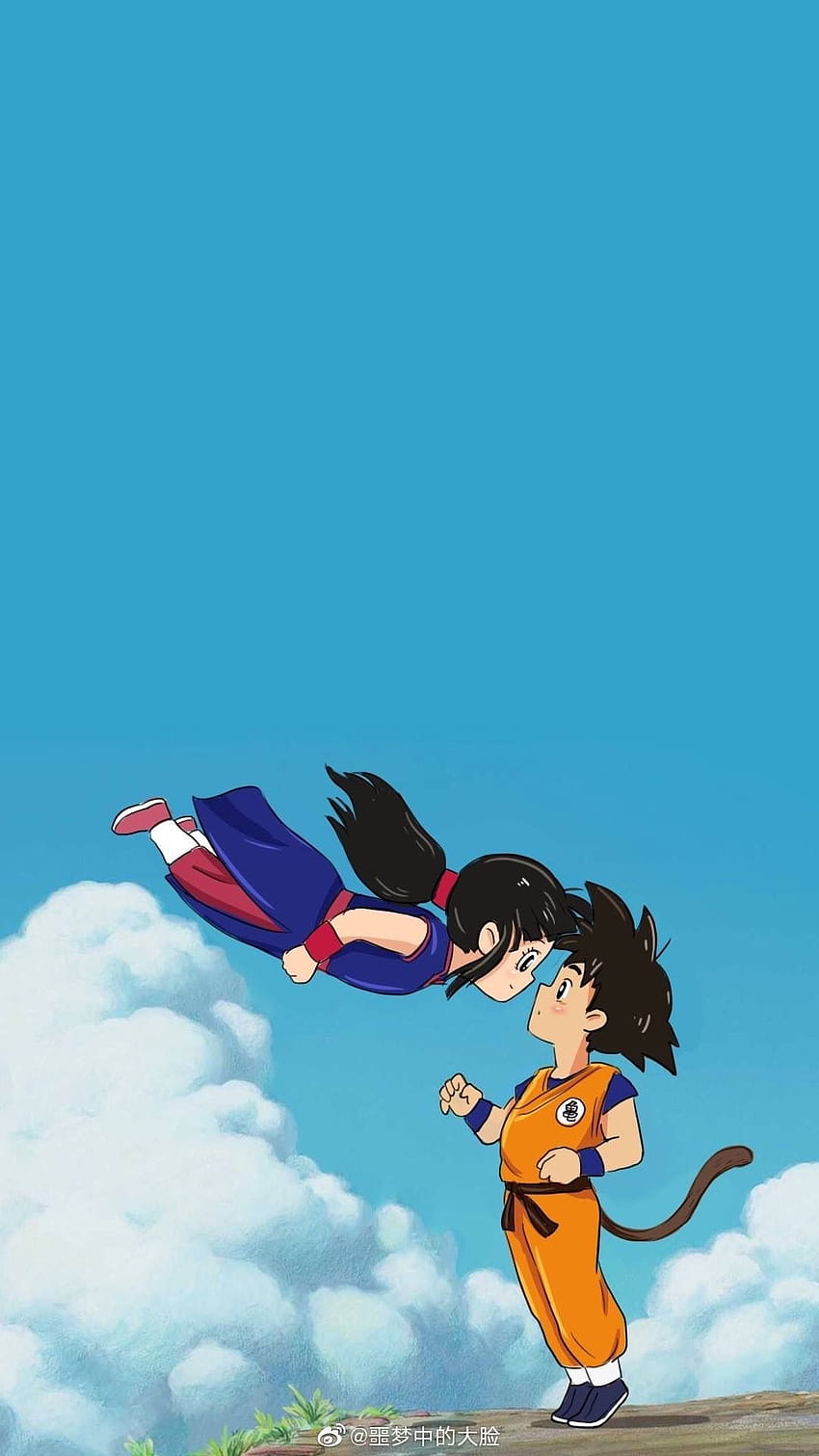 Cute Goku and Chichi, chi chi dbz HD phone wallpaper | Pxfuel