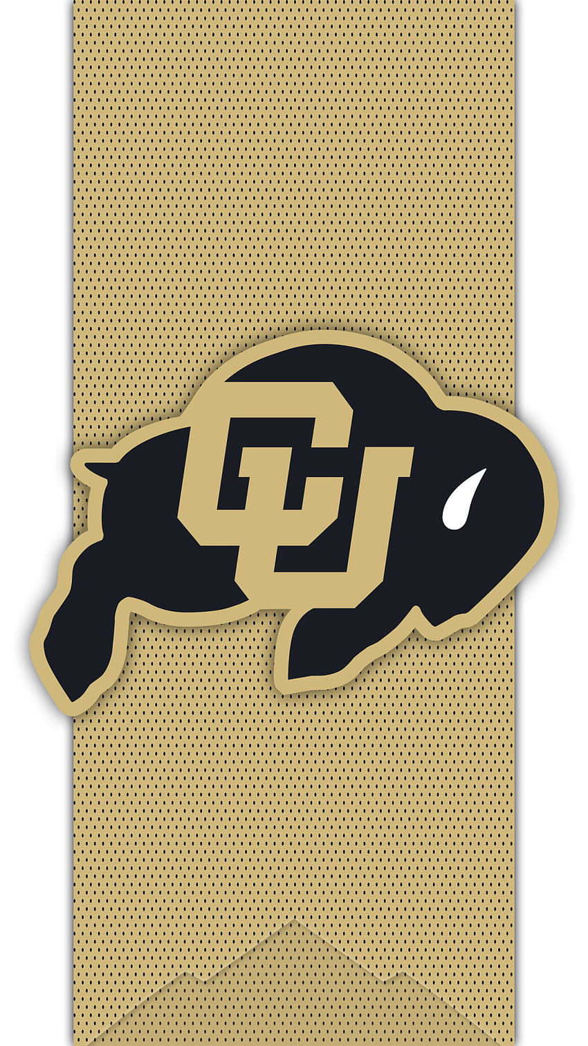 College Football, colorado buffaloes HD phone wallpaper