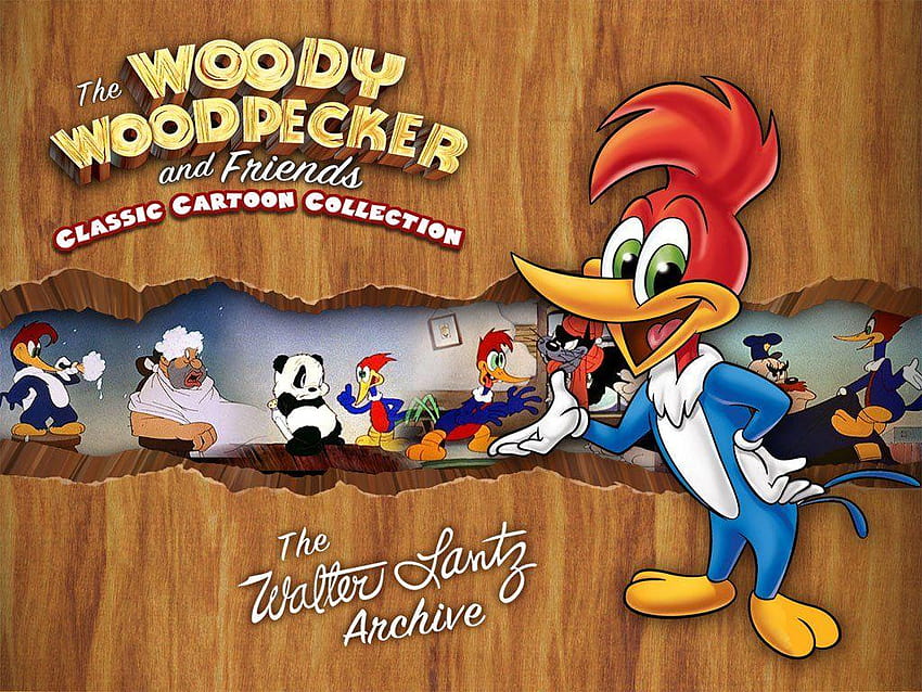 Woody Woodpecker Cartoon HD wallpaper | Pxfuel