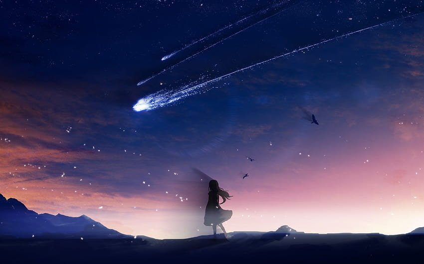 2880x1800 Anime Girl, Falling Stars, Scenic, Birds, Sky, anime skies  landscape HD wallpaper | Pxfuel