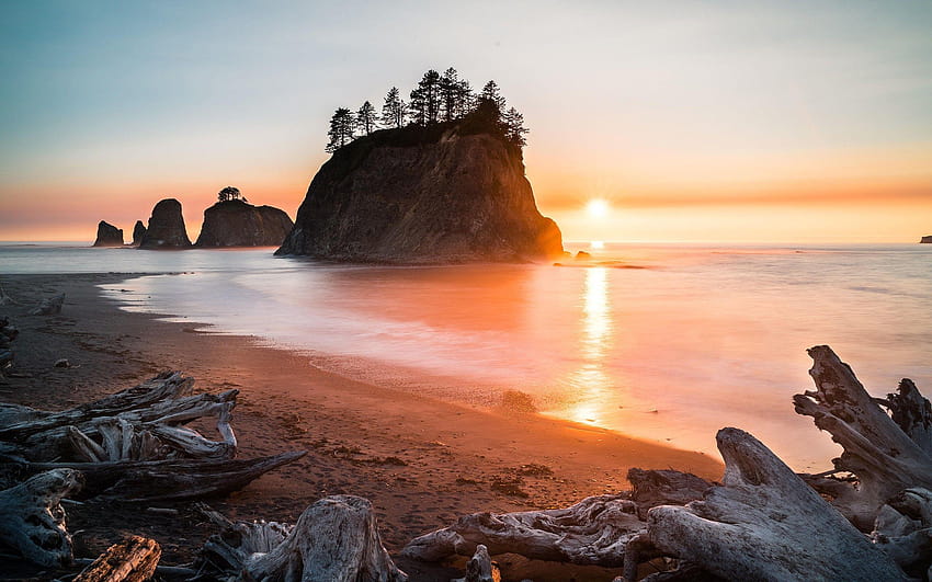 Oregon Coast Sunset, pantai Wallpaper HD