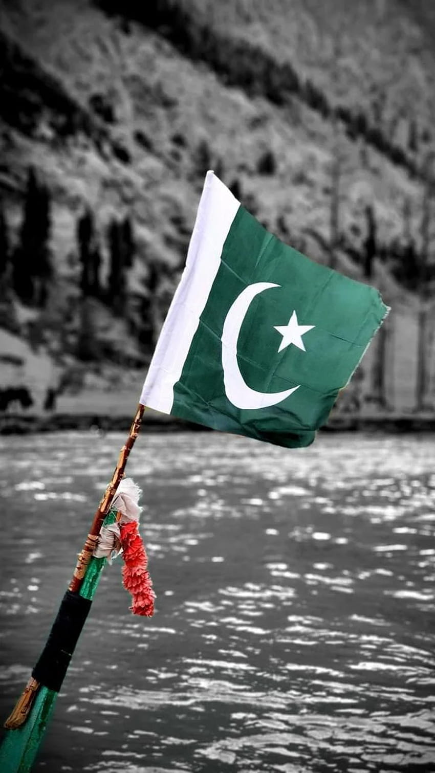 Premium AI Image  Flag wallpaper of Pakistan