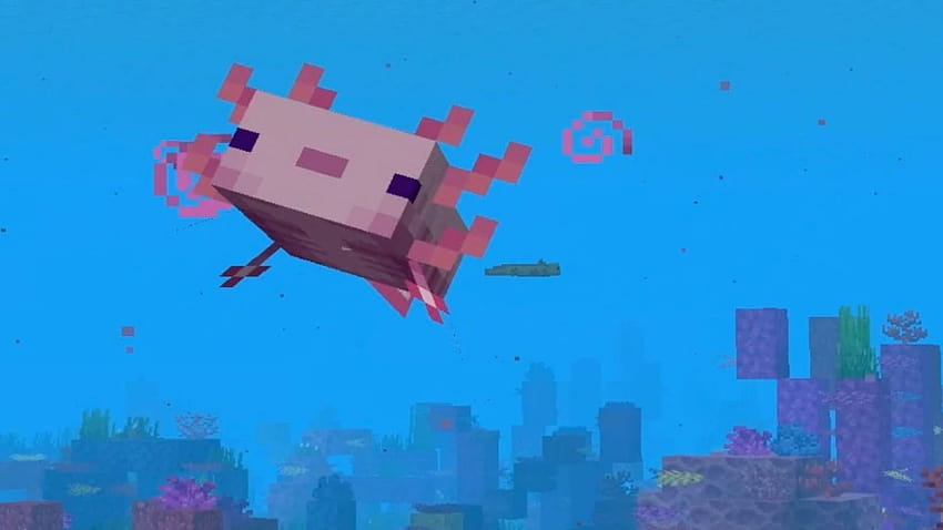 Top 5 uses for the Minecraft Axolotl! » FirstSportz, minecraft axolotls HD  wallpaper | Pxfuel