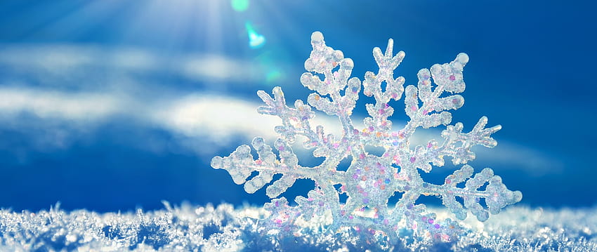 : white, winter, branch, blue, ice, frost, ultrawide, Christmas Tree, bright, zing, snow flakes, tree, flower, season 2560x1080, winter 2560x1080 HD wallpaper