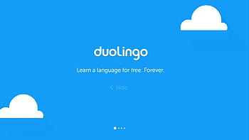 Duolingo HD wallpaper | Pxfuel