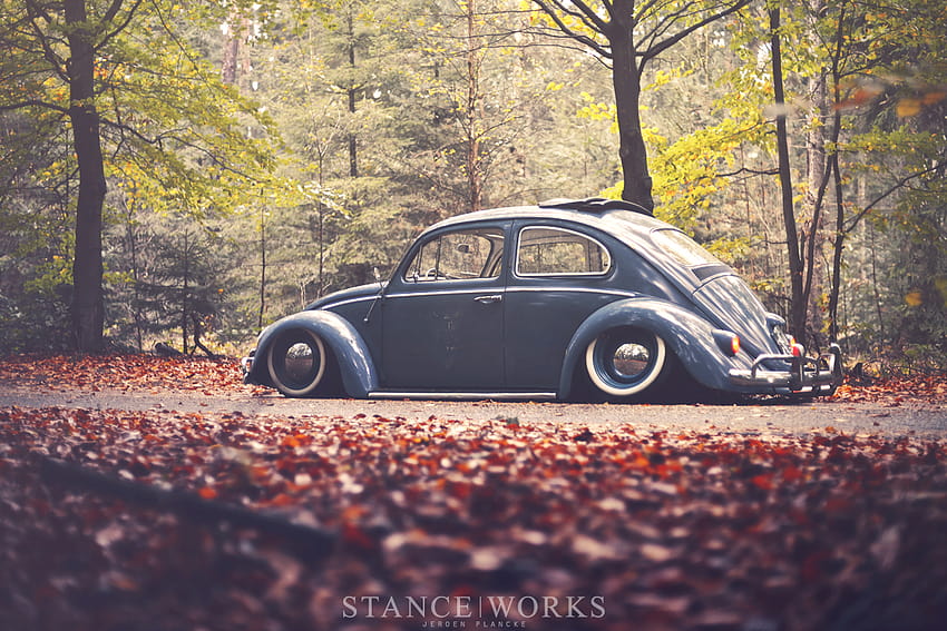 Under the October Rain – Rick Tolboom's 1959 Volkswagen Beetle, autumn volkswagen bug HD wallpaper
