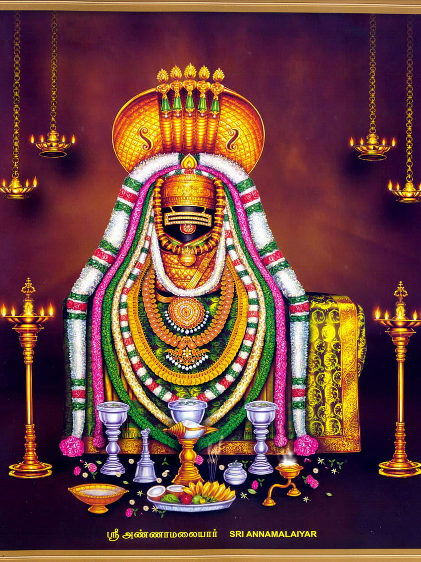 Thiruvannamalai Arunachaleswarar Temple は、南インドで大きな意味を持っています., tiruvannamalai HD電話の壁紙