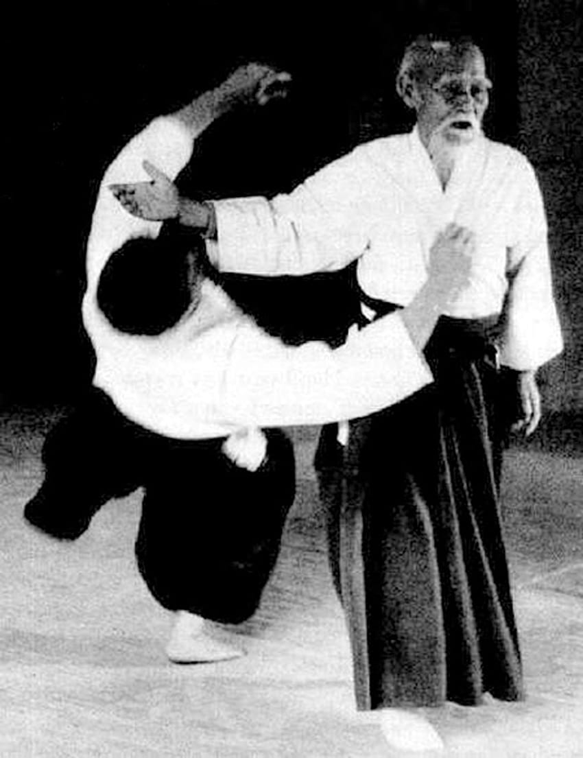 The Kingdom of Dust – Aikido Journal