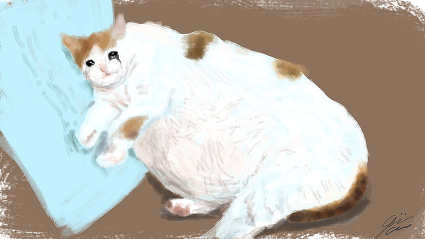 ArtStation, weinendes Katzenmem HD-Hintergrundbild