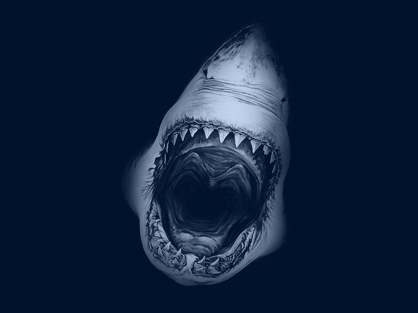tiburón siempre megalodón tamaño de tiburón gran tiburón blanco boca abierta [1152x864] para su, móvil y tableta, megalodón aterrador fondo de pantalla