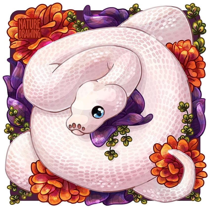 Ball python by Nature, kawaii snakes HD phone wallpaper