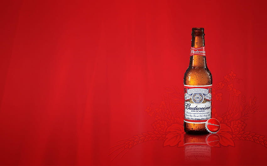 Of The Day: Budweiser, minum bir hari Wallpaper HD