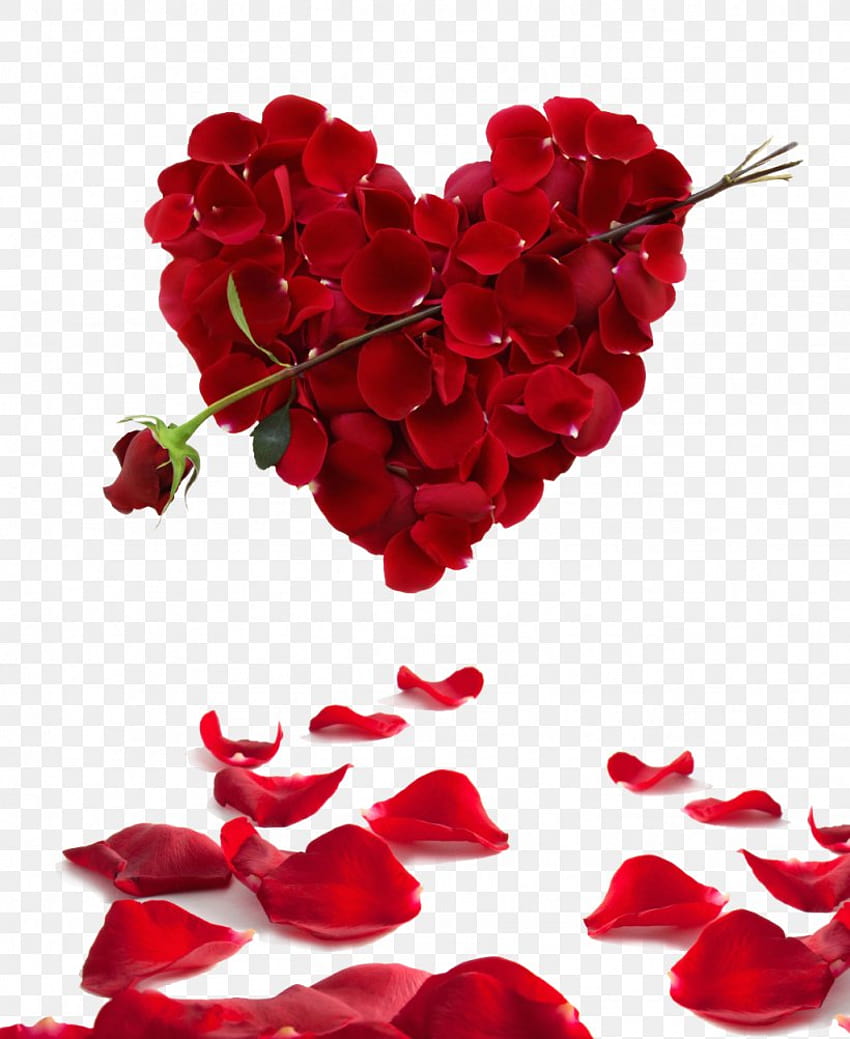 Rosa corazón flor día de San Valentín, PNG, 1024x1252px, amor, flores cortadas, sentimiento, floristería, flor, flor de san valentín fondo de pantalla del teléfono