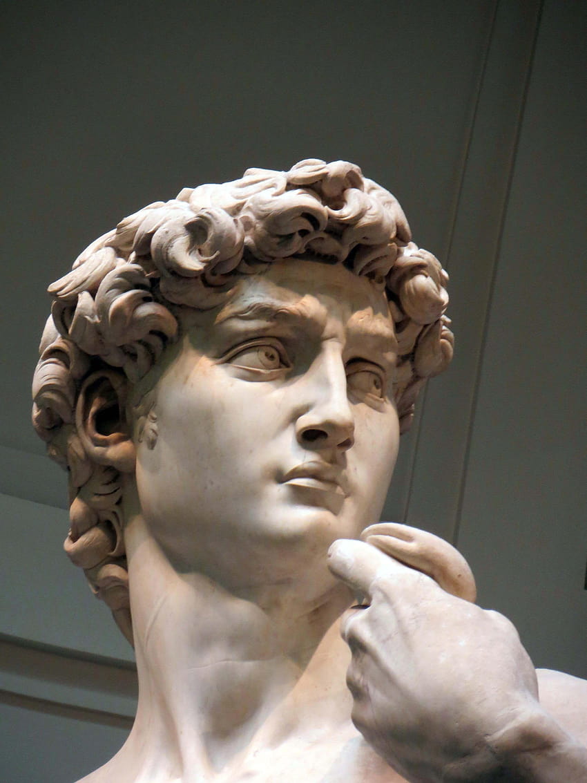 David's head from the original statue by Michelangelo., michelangelos david HD phone wallpaper
