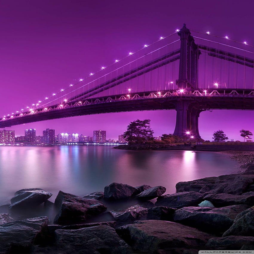 Bridge, Purple Light ❤ for Ultra TV, android phone whatsapp HD phone wallpaper